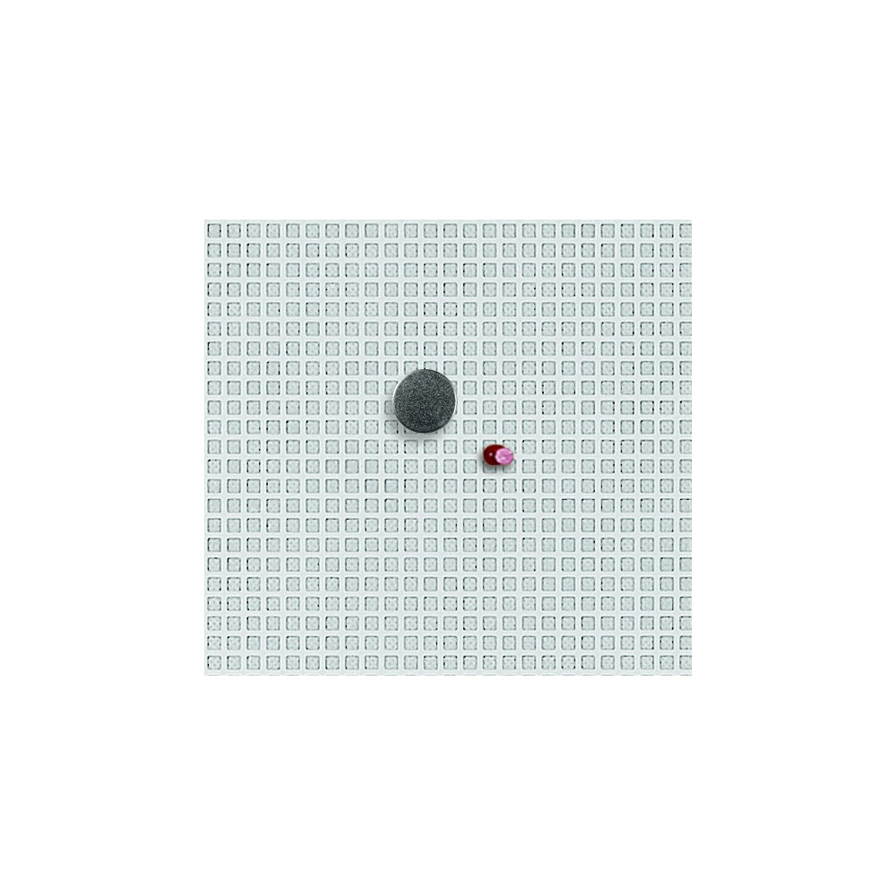 Vitrine ENCLORE Combonet