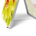 T-Frame Pavement Economy 70x100