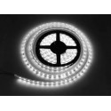 IPoint Lumo