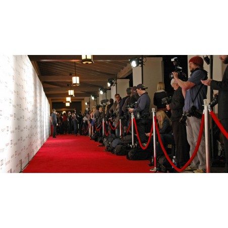 Red Smooth Velvet Rope - Chrome