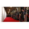 Red Smooth Velvet Rope - Chrome