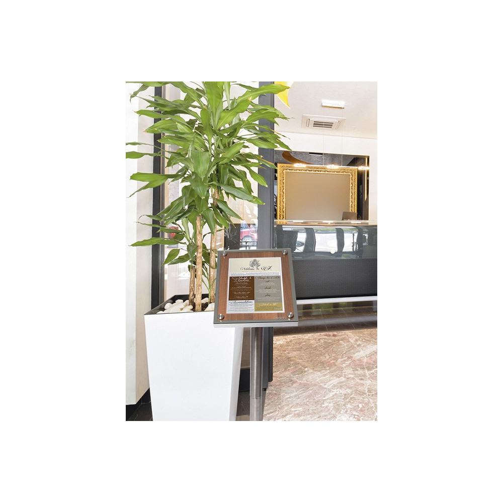 Expositores Menus Glass Star Expositores Menus Glass Star