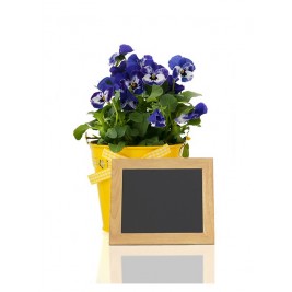 Quadro Expositor Menus